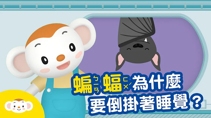 【动物小知识】蝙蝠为什么要倒挂著睡觉？｜小行星乐乐TV - 天天要闻