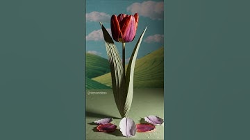 Sora openai Version 🎀 The Latest AI Generated Videos 🎶 #shorts Version 03 1