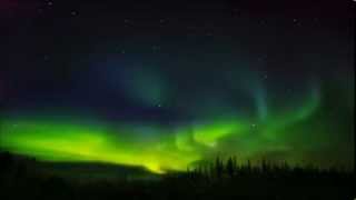 Omar Faruk Tekbilek - Why