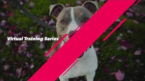 Expanded Virtual Education Series