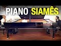 O INCRÍVEL PIANO DUPLO DO MUSEU ITINERANTE - Franz Ventura