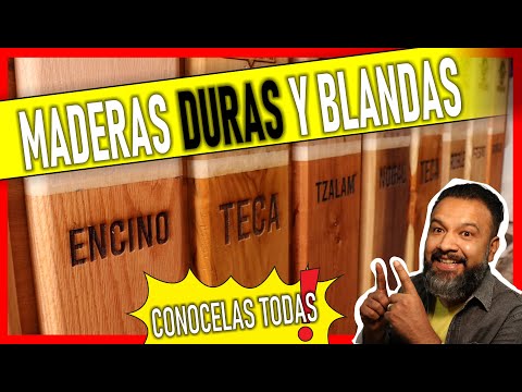 Video: Madera dura y madera blanda: identificar un árbol de madera blanda o de madera dura