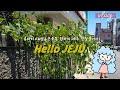 류마티스+섬유근육통 환자의 제주 한달살기 Feat. 요양살이.