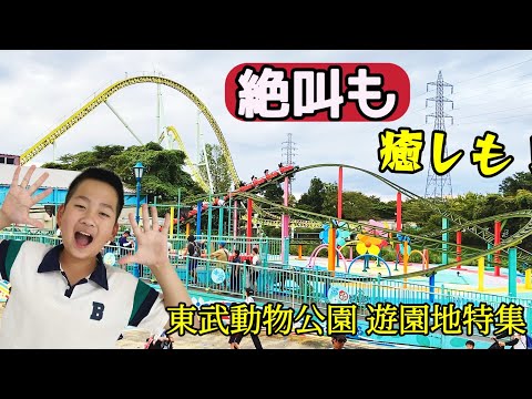東武動物公園 遊園地にやって来たよ カワセミ ミュージックエキスプレス ジャングルファイター カルーセルウォーターリリー エマさんのチーズ風車 カーニバル 東武動物公園 アトラクション 遊園地