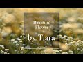 Beautiful Flower 大合唱 by Tiara