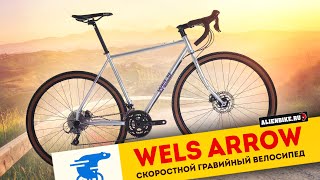 :   Wels Arrow (2024) |       