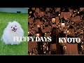 和狗一起，不去景點的京都之旅/犬と歩く京都、ふたりで入る別の世界/Two Sides of Kyoto：with Our Dog & Stepping into Another World