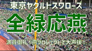 【全緑応燕メドレー！応援歌集】東京ヤクルトスワローズ（2024）明治神宮野球場