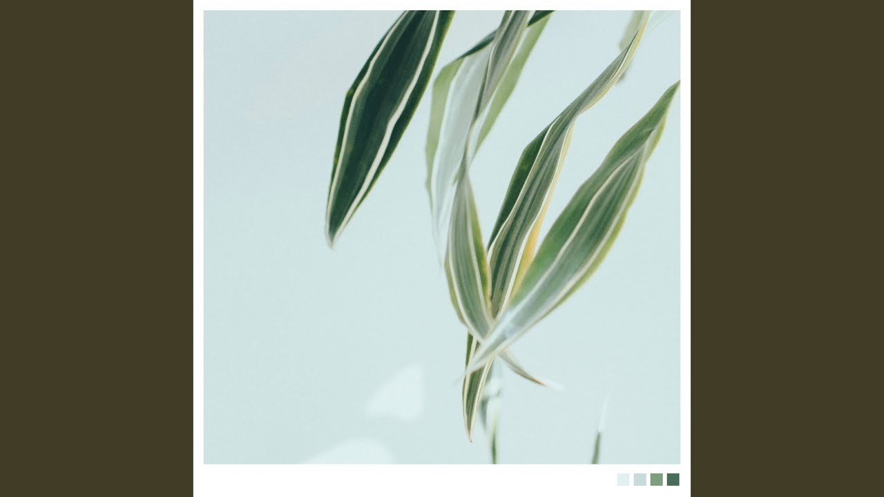 Float Up auf YouTube ansehen Float Up auf YouTube ansehen