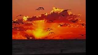 Tramonto - Ennio Morricone -