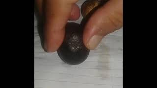 Download Lagu Test keaslian geliga landak MP3