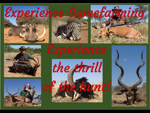 Lentegeur hunting video