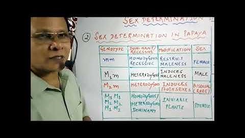 XII Bio Botany and Botany Chapter 3 Chromosomal basis of inheritance  Sex determination in Plants  V