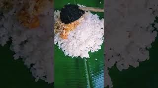 කෙසෙල් කොලේ බත් එකක් කමුද ?? viral subscribe food