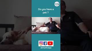 Consult Senior Veterinary Doctors 247