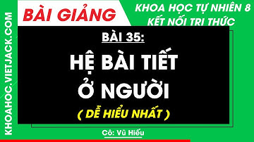 Khoa học tự nhiên 8 Bài 35: Hệ bài tiết ở người | Kết nối tri thức (DỄ HIỂU NHẤT)