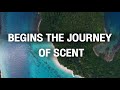 Begins the journey of scent