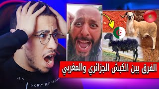 المغاربة مطلعينها على الفرق بين الكبش الجزائري و المغربي