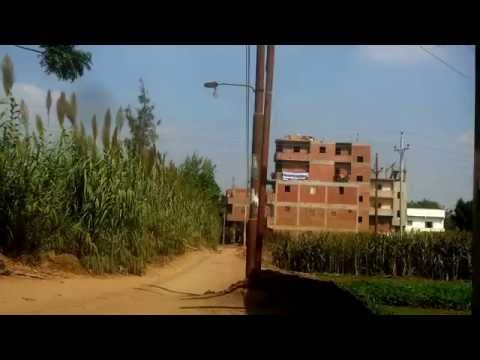 صوت ماكينة الرى والشمس منتصف النهار