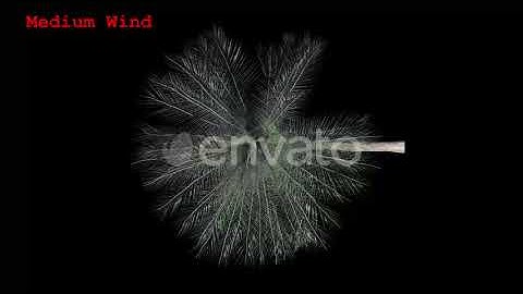 Tree v. 08 Top View Pack | Motion Graphics - Envato elements