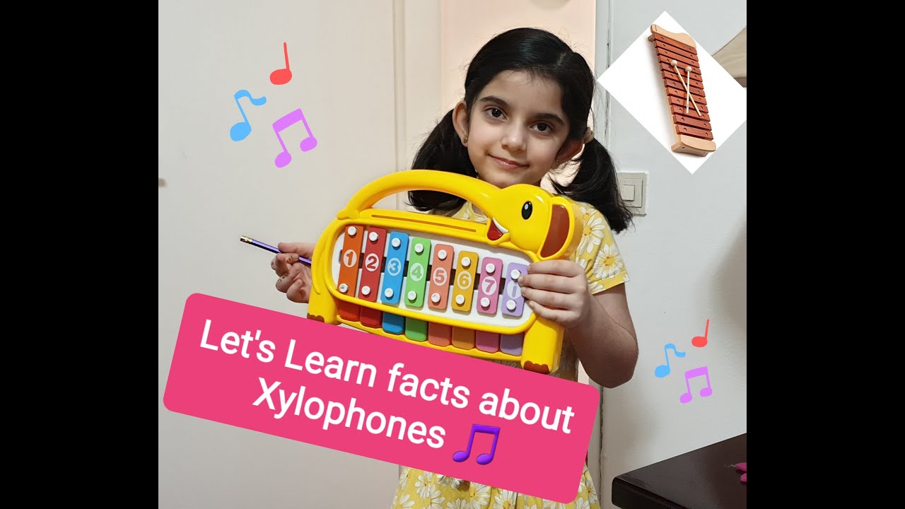 X is for XYLOPHONE Interesting facts about Xylophones Musical