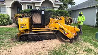 $400 Oak Stump in 7 Minutes Carlton 7015 TRX Stump Grinding by Alex Catalina 3,035 views 1 month ago 7 minutes, 19 seconds