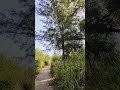 যদি কেউ কষ্ট দেয় এই আয়াতটি পড়ুন#foryou #viralvideo #shortsvideo