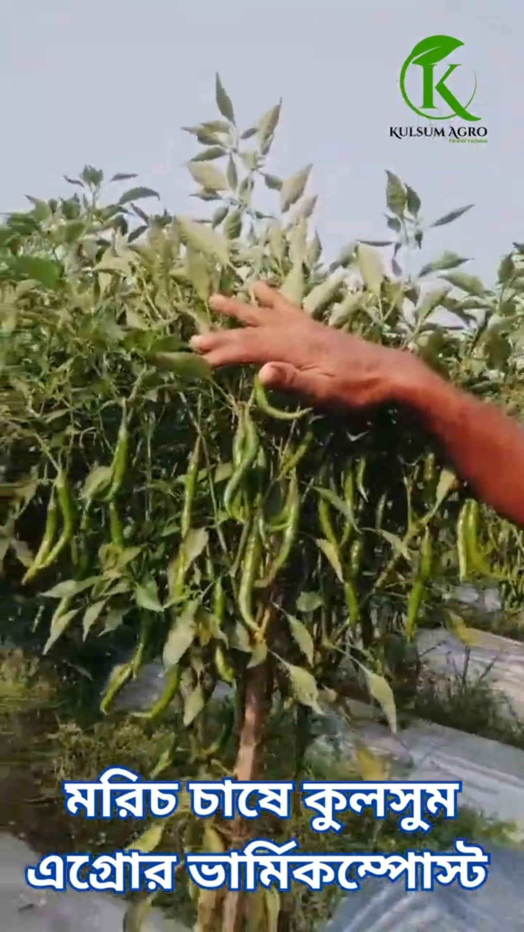 গ্রাহক ভিডিও রিভিউ
