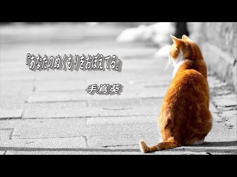 『あなたのぬくもりをおぼえてる』手嶌葵【歌詞】