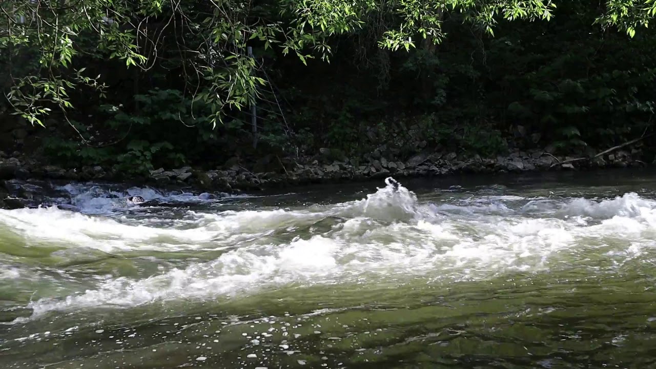 Bruit De L eau Relaxation Pour Dormir YouTube