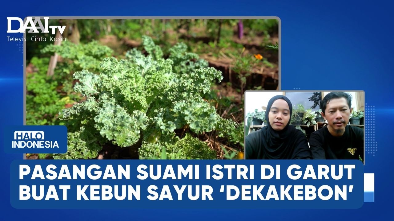 Suami Istri Membangun Kebun Penuh Nutrisi | Halo Indonesia
