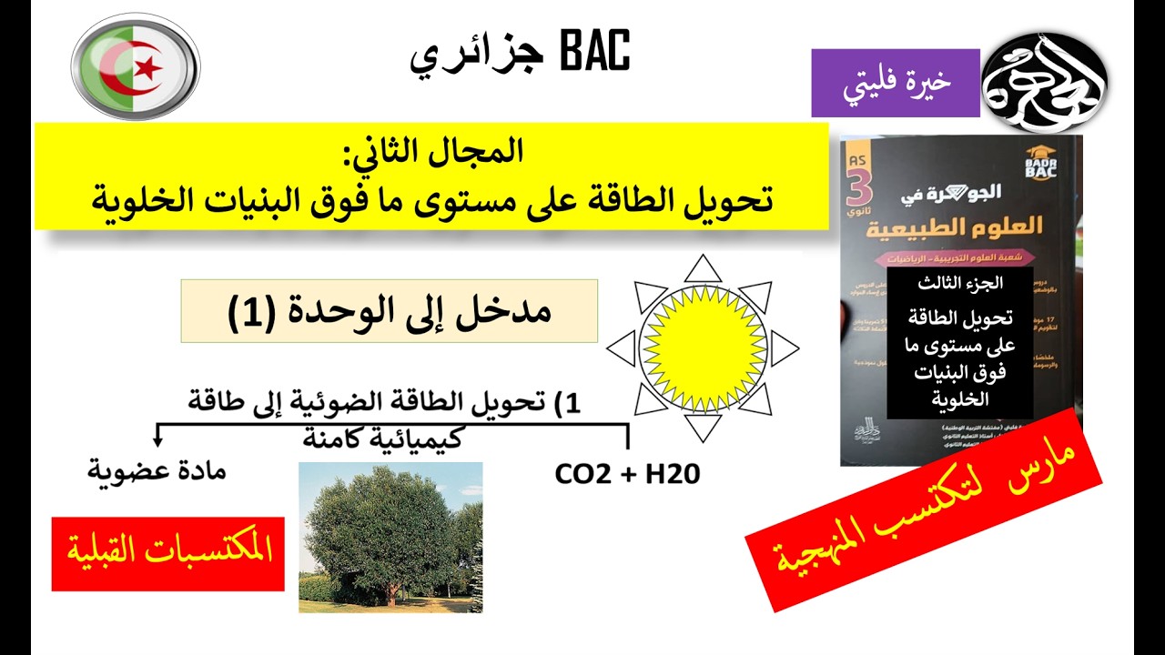 المكتسبات القبلية حول عملية التركيب الضوئي