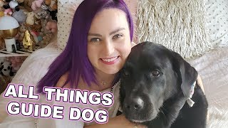 Answering Guide Dog Questions I've Never Answered Before...