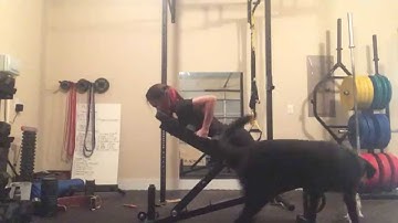 Exercise Demo: Chest-Supported DB Row