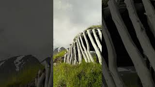 Hiking adventure in Sarek National Park, Sweden 10