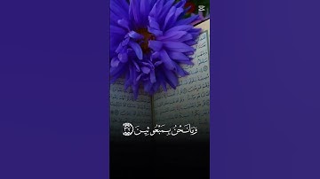 #تلاوة_خاشعة #اكسبلور #المصحف #قرآن #دويتو  قران كريم