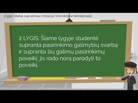 LT Verslumo subkompetencija: ANALITINIS / KRITINIS MĄSTYMAS