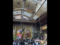 Vrindavan #shortvideo #love #virdavan #vrindavan #vrindavandham#radhakrishna #radha #radharani#shyam