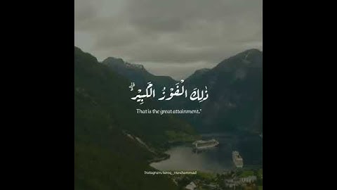 طارق محمد //مقاطع قصيرة قرآن كريم || حالات واتس اب دينية // تلاوة عطرة خاشعة
