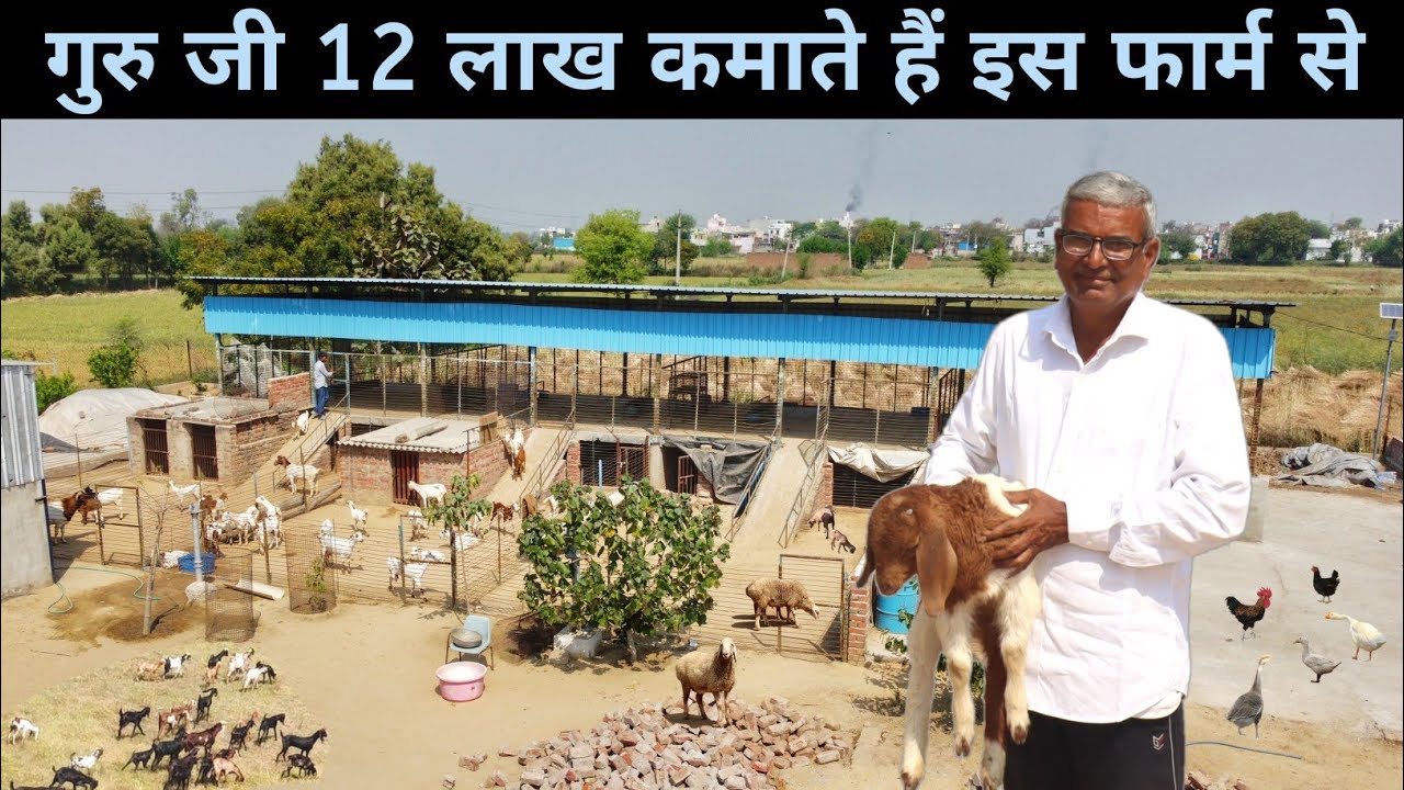 गुरु जी का शानदार फार्म देखकर मज़ा ना आए तो बोलना | Goat farming | Poultry Farming | Integrated Farm