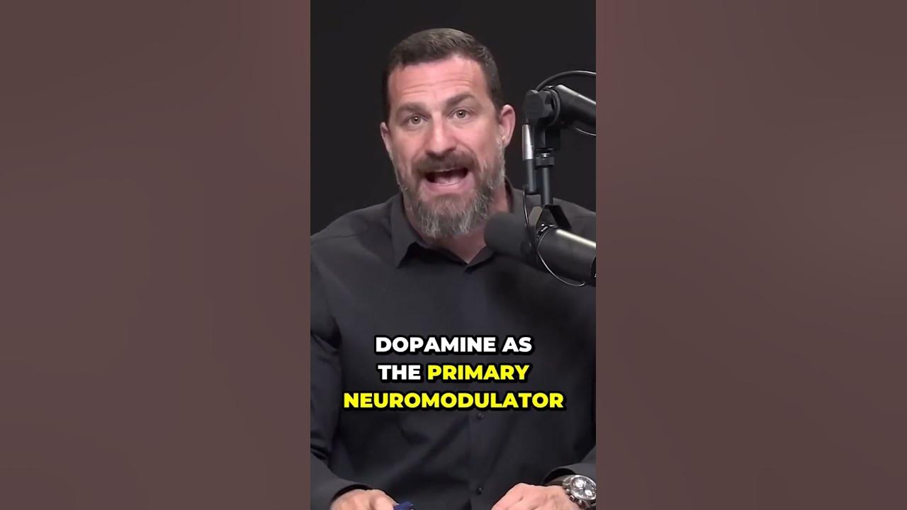Neuron impact factor 💪 shorts YouTube