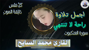 سورة العنكبوت بأداء حزين يأسر القلوب للشيخ محمد السايح Surah Al-Ankabut