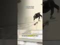 One of my favorite tricks done here #skate #skateboarding #shorts