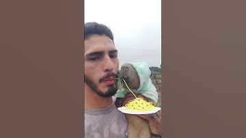 Adorable Capybara Eats Carbonara! 🤣🍝