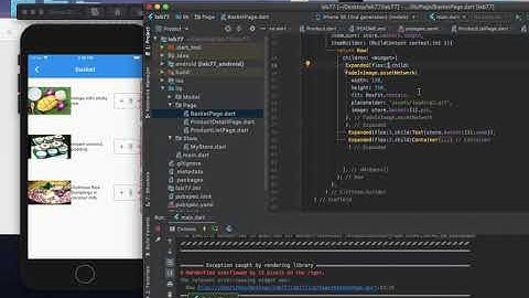 Flutter Shopping cart: 5. Basket Page, Hero Animation