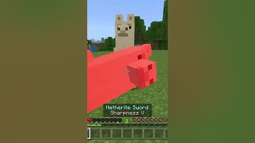 Wandering Trader KILLS me for Killing his Llamas #viral #gaming #minecraftdaily #minecraft #funny