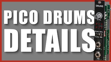 Erica Synths PICO DRUMS  in detail (French + english caps)