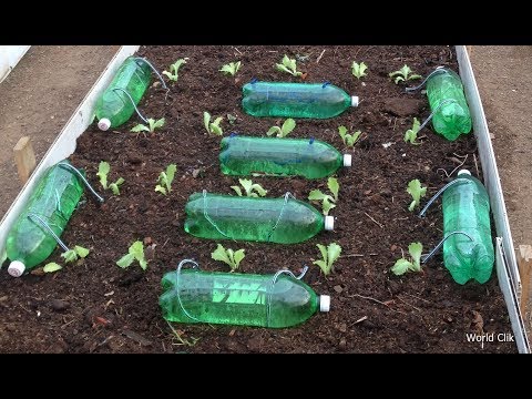 Vídeo: Sistema De Irrigação Por Gotejamento DIY
