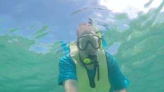 Castaway Cay Stingray Adventure