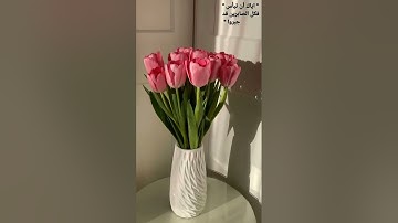 #تلاوة_مؤثرة #تلاوة_خاشعة #إسلام_صبحي #حالات #حالات_واتساب #صوت_يريح_القلب #صلوا_علي_النبي #قرآن